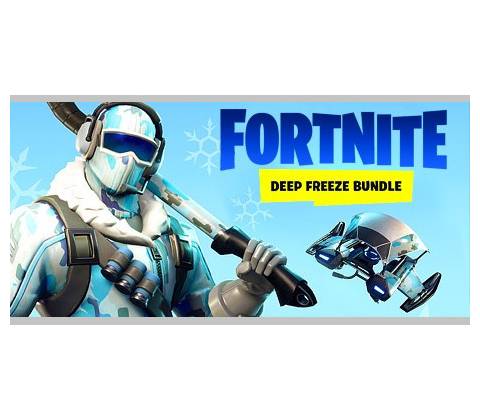 Fortnite: Deep Freeze Bundle