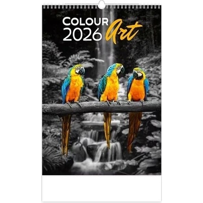 Colour Art nástěnný 2026