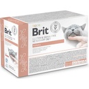 Brit VD Cat Fillets in Gravy Renal 12 x 85 g