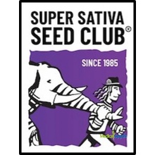 Super Sativa Seed Club Karels Dank regular semena neobsahují THC 12 ks