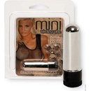 Seven Creations Mini Wireless Vibe