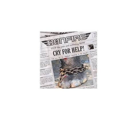 BONFIRE: CRY FOR HELP CD