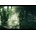 Sniper: Ghost Warrior