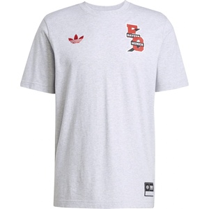 adidas FC Bayern VRCT Tee - Grey Heather
