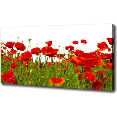Foto obraz tlačený na plátne Poľný mak 100x50 cm