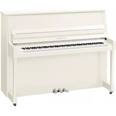 Yamaha B20 PWHC