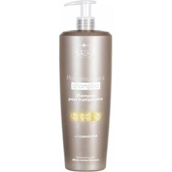 Hair Company Professional ШАМПОАН ЗА БОЯДИСАНА И ТРЕТИРАНА КОСА hair company post-treatment shampoo 1000ml