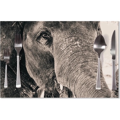 Sablio Prestieranie Slon 40x30cm