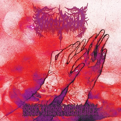 Ghost Bath Rose Thorn Necklace 1 CD