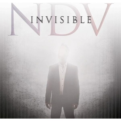 D'VIRGILIO, NICK - INVISIBLE