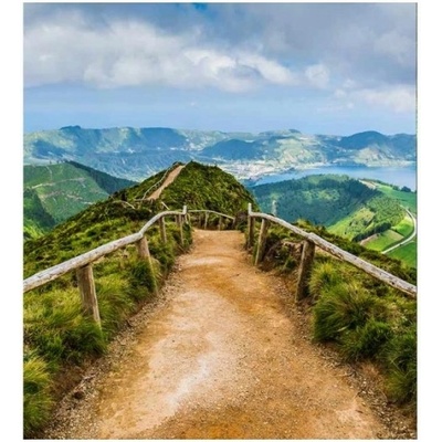 DIMEX ART Флизелинов фототапет пешеходна пътека 225 x 250 см