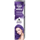 Barvy na vlasy Trendy barevné tužidlo 40 fialová fantasie