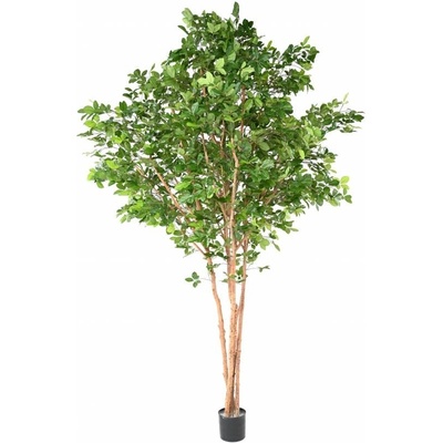 Luxusní umělý strom BUK GRANDIFOLIA, 350cm