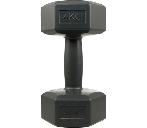 Lifefit vinyl 4 kg