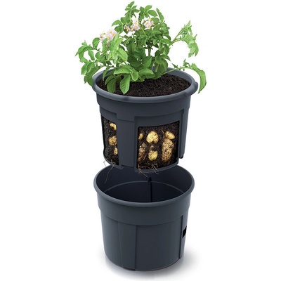 Prosperplast IZIE300-S433 Květináč na brambory IZ antracit 30 cm