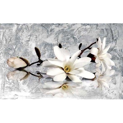 Bílá Magnolie 1 deska 70x50