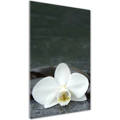 Vertikálny fotoobraz na skle Orchidea kamene 50x100 cm