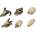 Duvo Plus Skull Mini Assorted - Декорация за аквариуми , скелети , 7-10 см