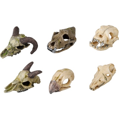 Duvo Plus Skull Mini Assorted - Декорация за аквариуми , скелети , 7-10 см