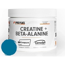 ProFuel CREATINE + BETA-ALANINE 300 g