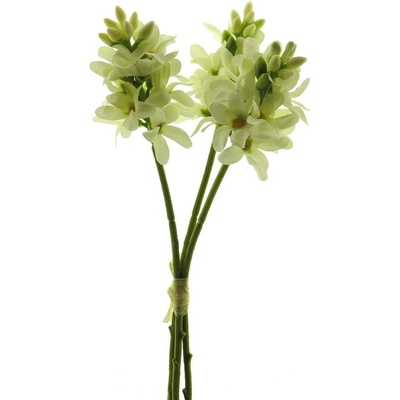 Hyacint svazek x3 krémový 30 cm