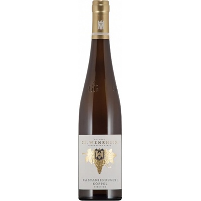 Weingut Riesling Kastanienbusch GG Ryzlink rýnský 3,6 g/l suché bílé 2023 13% 0,75 l (holá láhev)