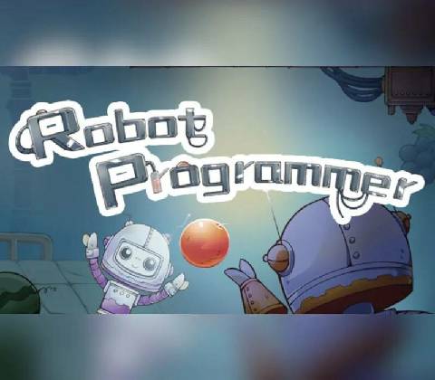 Robot Programmer