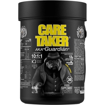 Zoomad Labs CareTaker BCAA 480 g