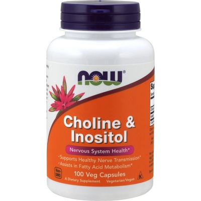 Now Foods Cholin & Inositol 500 mg x 100 kapslí