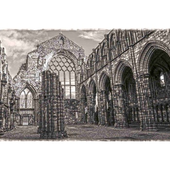 DIMEX ART s. r. o Флизелинов фототапет холируд, монохромно 375 x 250 см