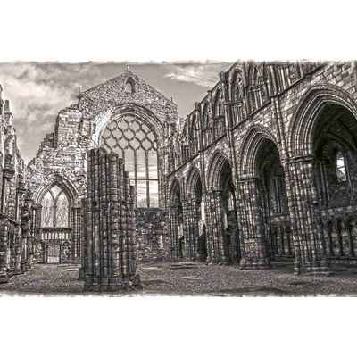 DIMEX ART Флизелинов фототапет холируд, монохромно 375 x 250 см