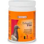 Versele-Laga Добавка с витамини за гълъби Vita - vitamins 1кг (VU412360)