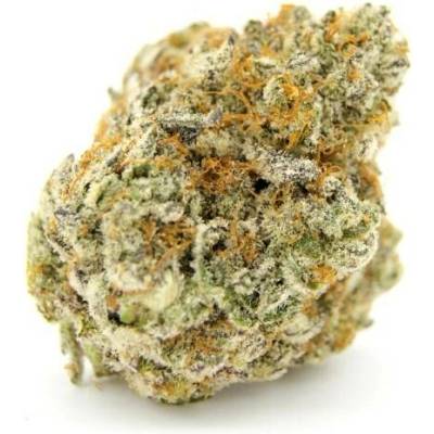 Growers Choice Forbidden Runtz semena neobsahují THC 5 ks