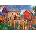 KS Games - Puzzle Pinson: The Bluebirds' Song - 1 000 piese