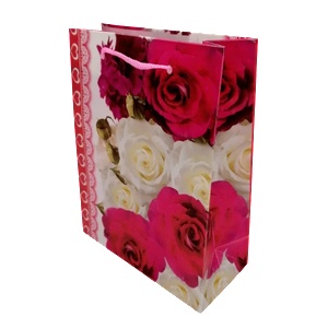 Cangnan Color Bag Co. , Ltd Подаръчни торбички pvc 17 х 13 х 6 см. М13-043