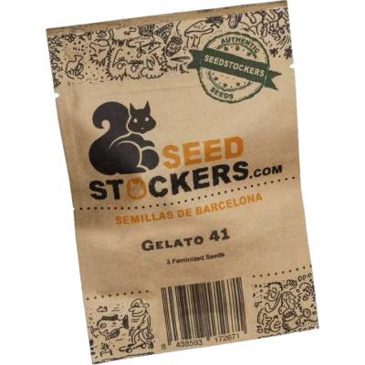 Seedstockers Gelato 41 semienka neobsahujú THC 25 ks