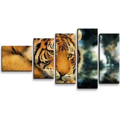 Sablio Obraz - 5-dílný Tiger - 100x60 cm