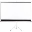 AVELI 265x149 (16:9) 120" XRT-00088B