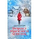 Dvanáct vánočních schůzek