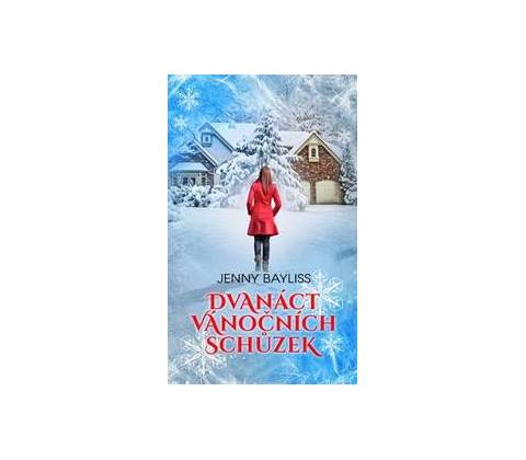 Dvanáct vánočních schůzek