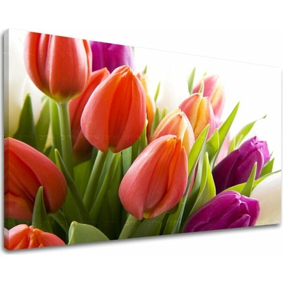 Obraz na stenu KVETY TULIPÁNY - 20x30