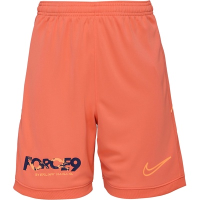 Nike Academy25 xs