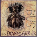 DINOSAUR JR.: BUG LP