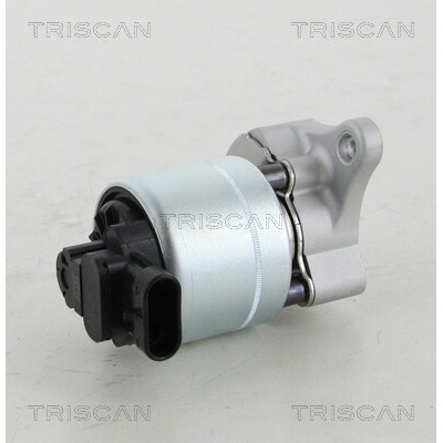 AGR - Ventil TRISCAN 8813 28008