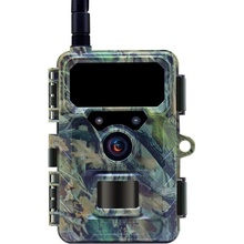 Wachman Discovery 4G