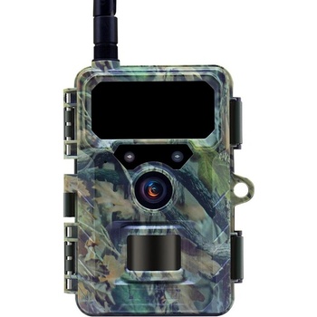 Wachman Discovery 4G