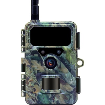 Wachman Discovery 4G