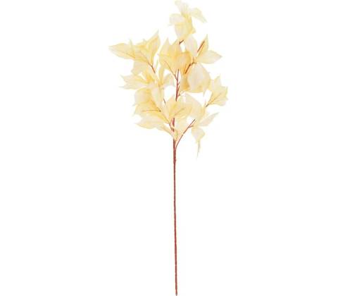 KONÁR LISTY KRÉMOVÉ 84CM