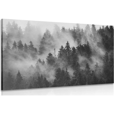 Obraz hory v mlze v černobílém provedení - 60x40