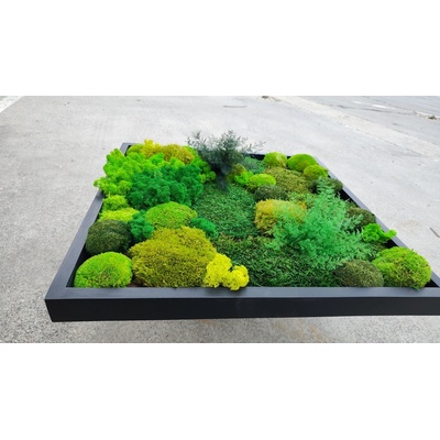 Set na výrobu machového obrazu 1ks 60cm x 120cm farba biela